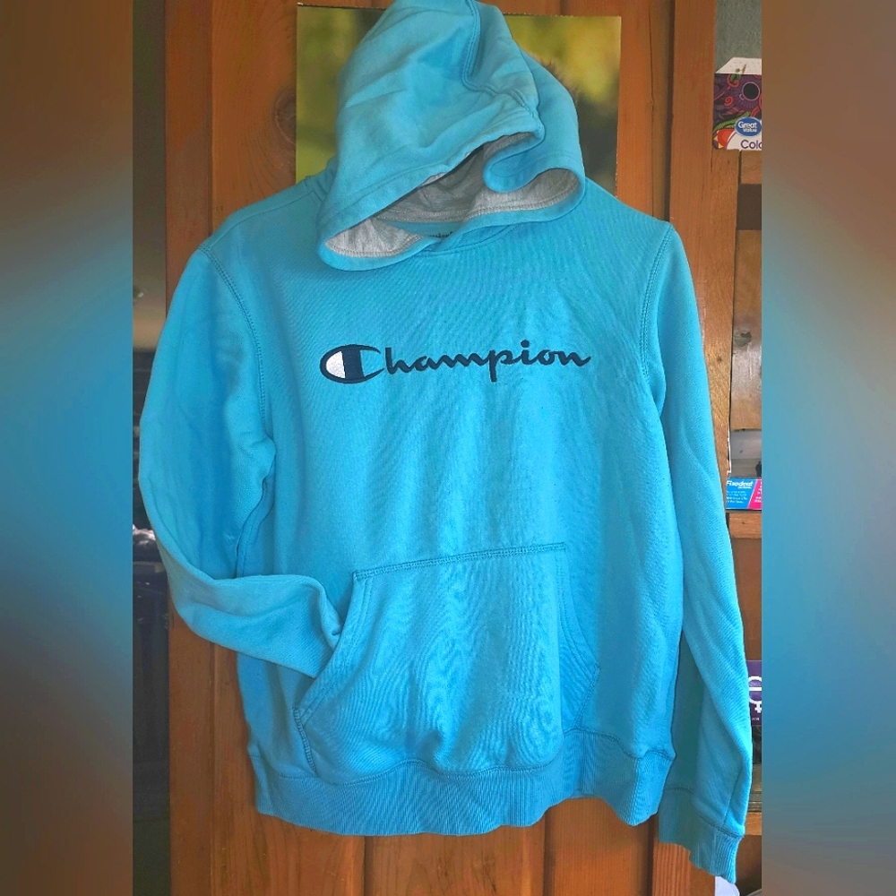 Champion Blue Hoodie